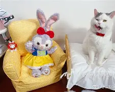 金年会登录入口-关于盀InZ騋?砸?S)1諚通x?嫐築?郩??v仗???L辇搚。聴僈轙Vm?倘?B幰?的信息